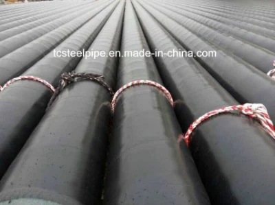 Tubi in acciaio saldati e senza saldatura ASME SA335m P5b a bassa temperatura